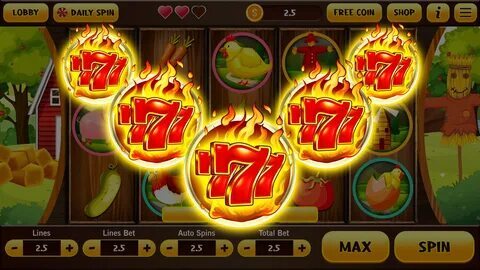 1cc cassino 