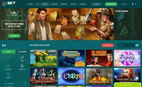 bingo ao vivo cassino 