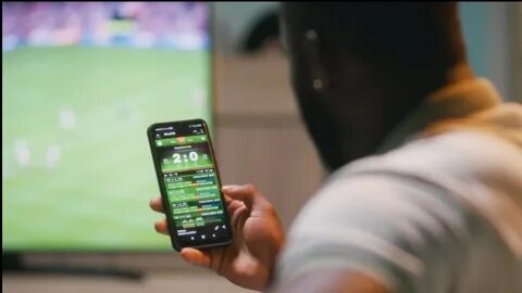 futebol bingo estrela bet 